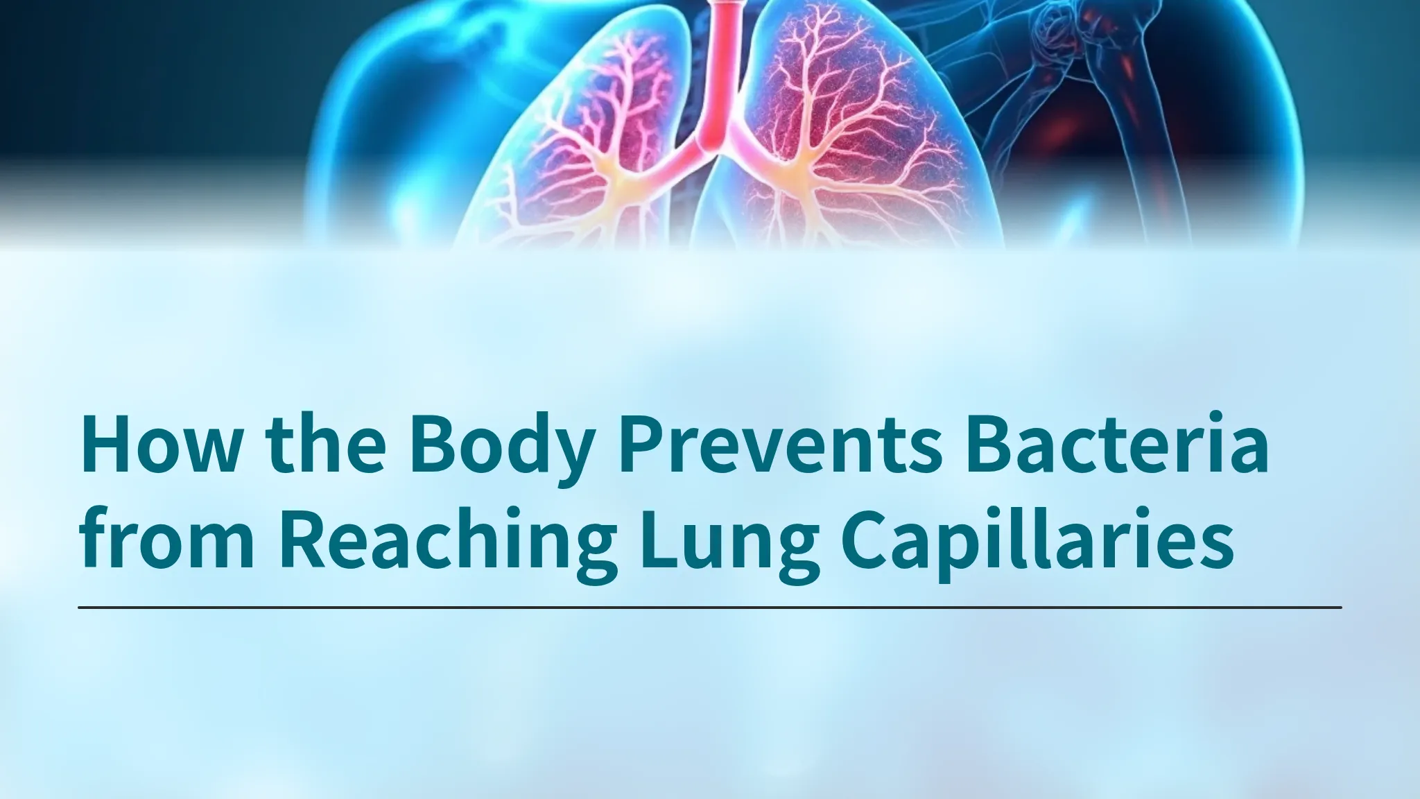 Trapped Germs How the Body Prevents Bacteri...