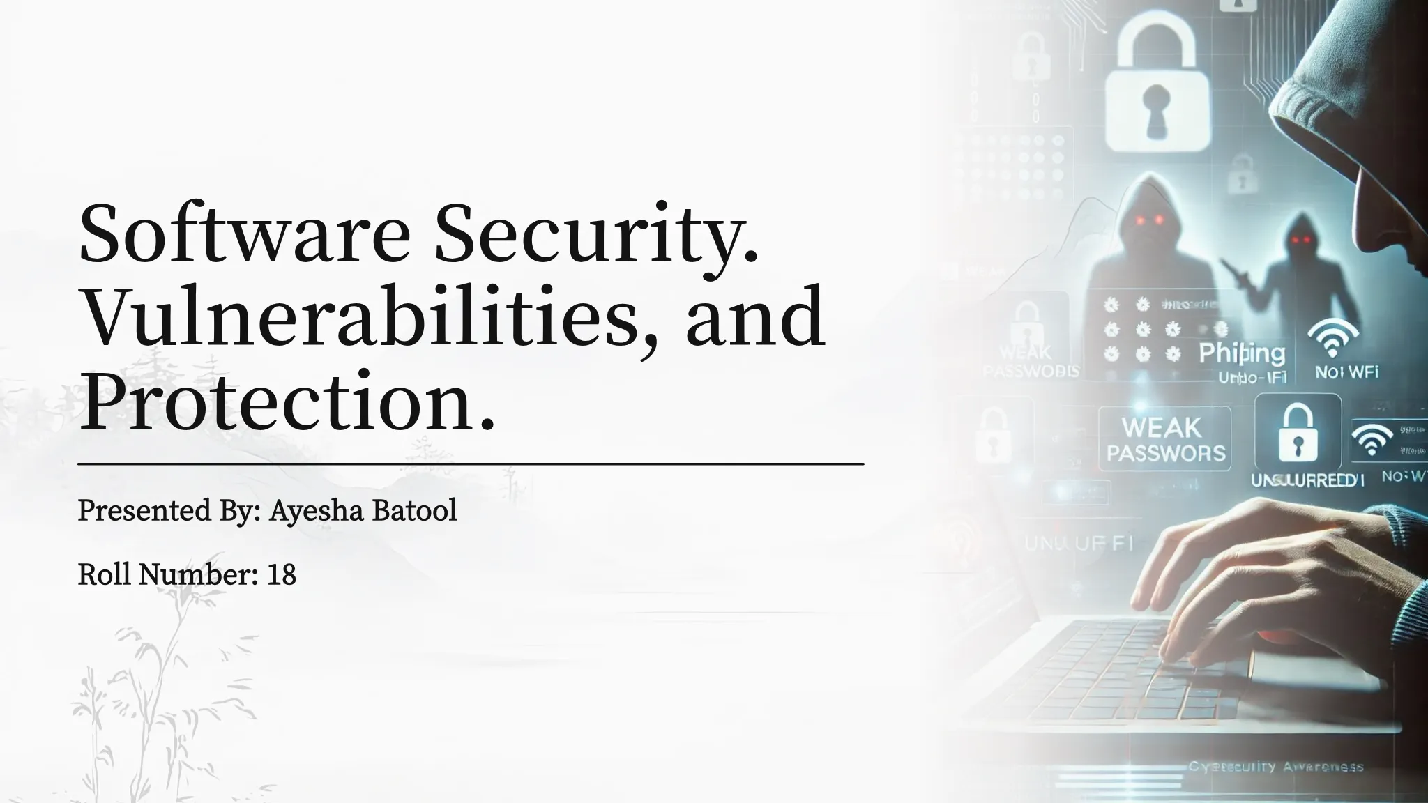 Software Security, Vulnerabilities, and Protection Mechanisms