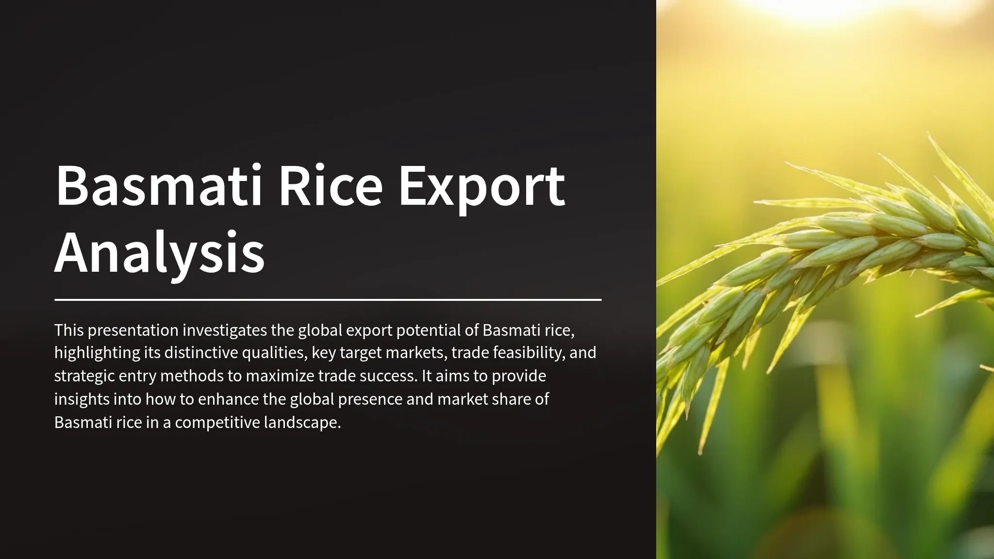 Basmati Rice Export Analysis