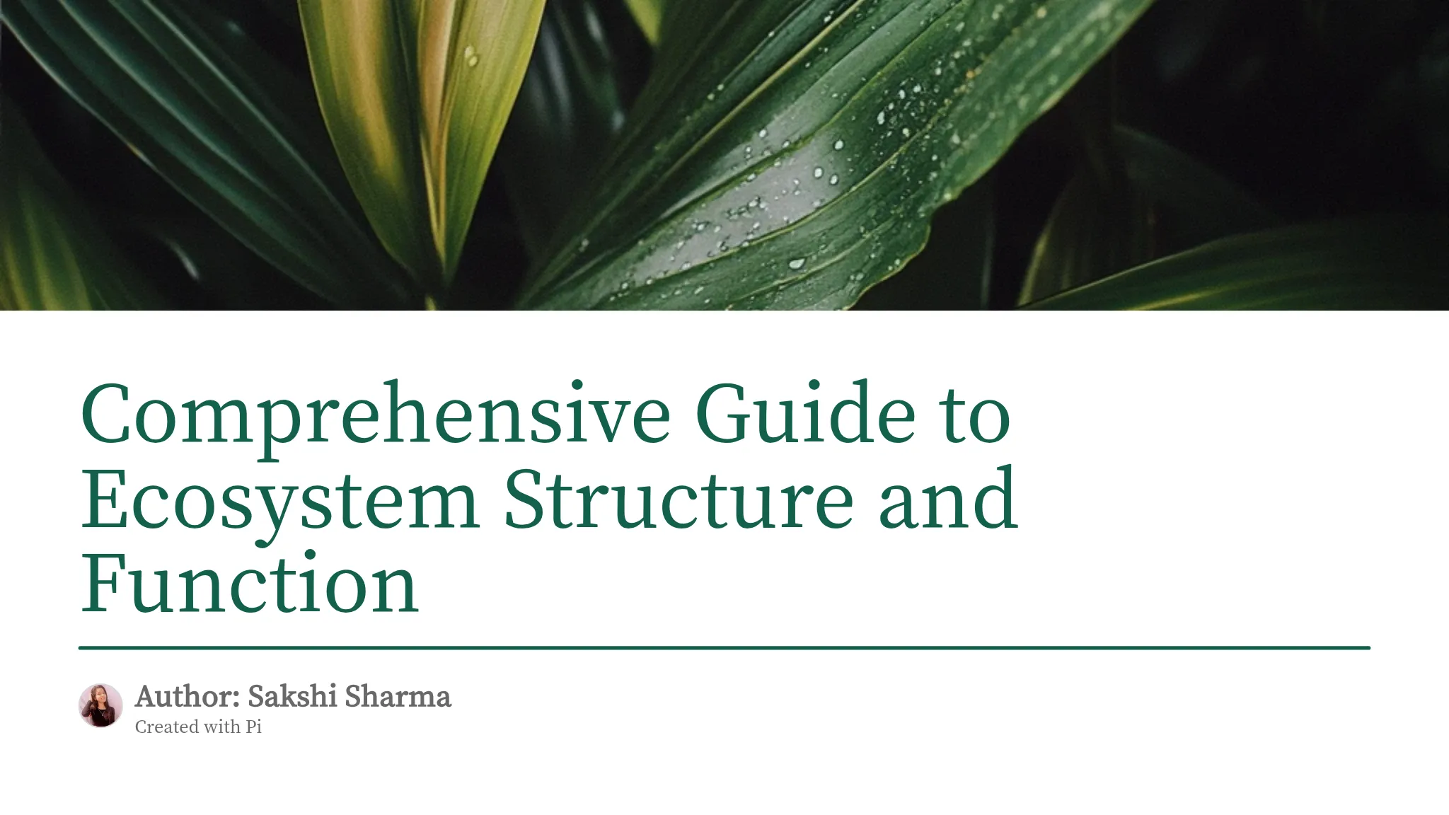 Comprehensive Guide to Ecosystem Structure and Function