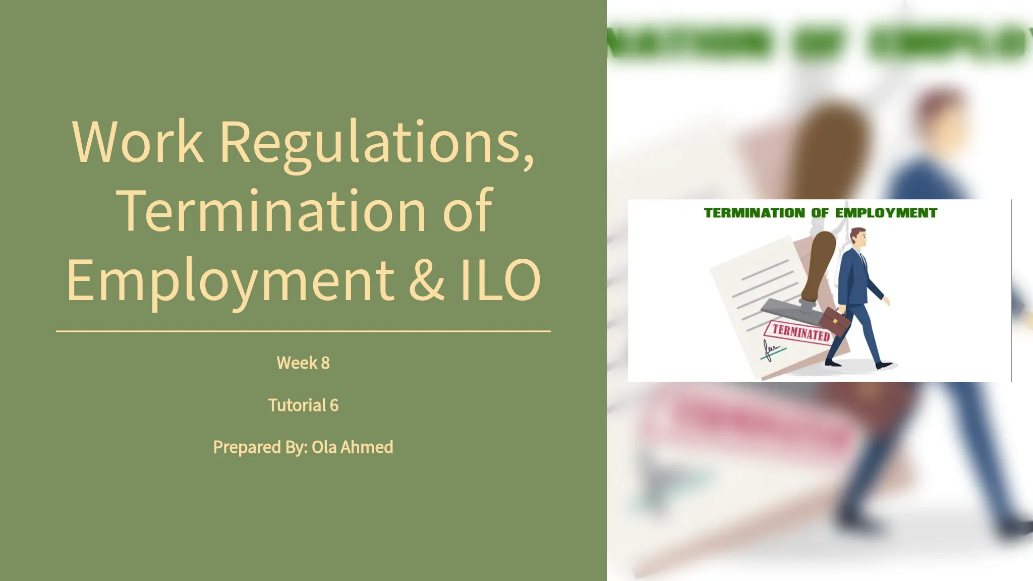 Work Regulations & Terminatio...