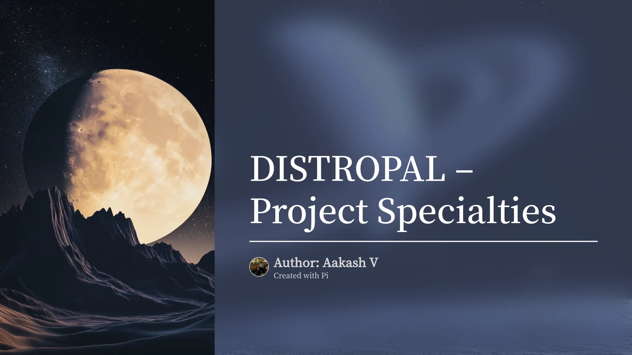 Distro Projects DISTROPAL – Project Specialties