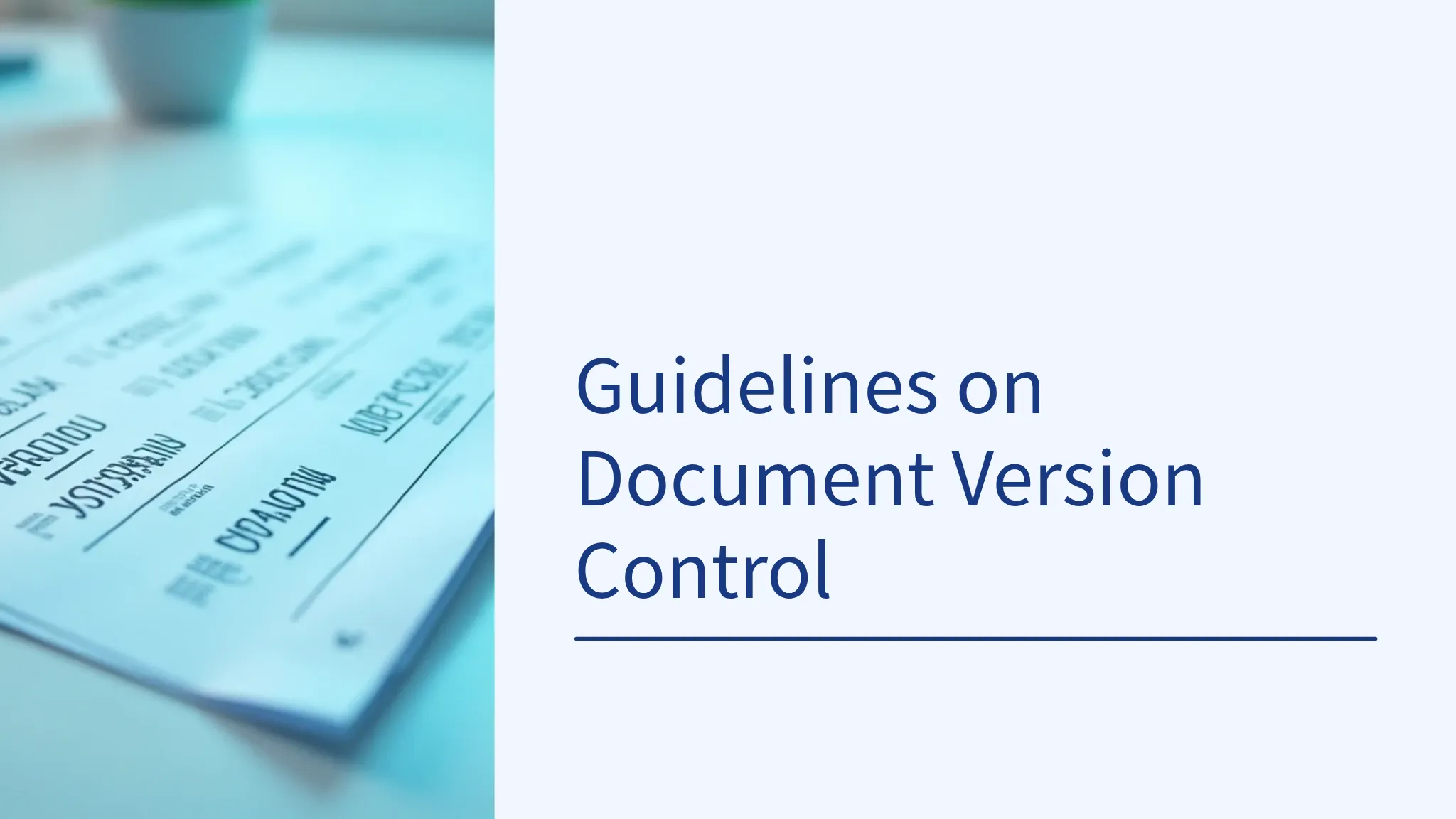 Guidelines on Document Versio...