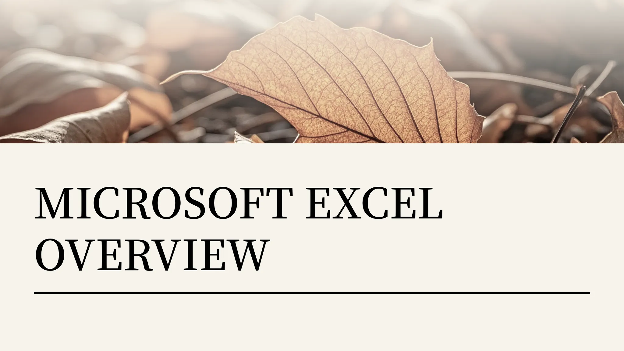 Microsoft Excel Overview