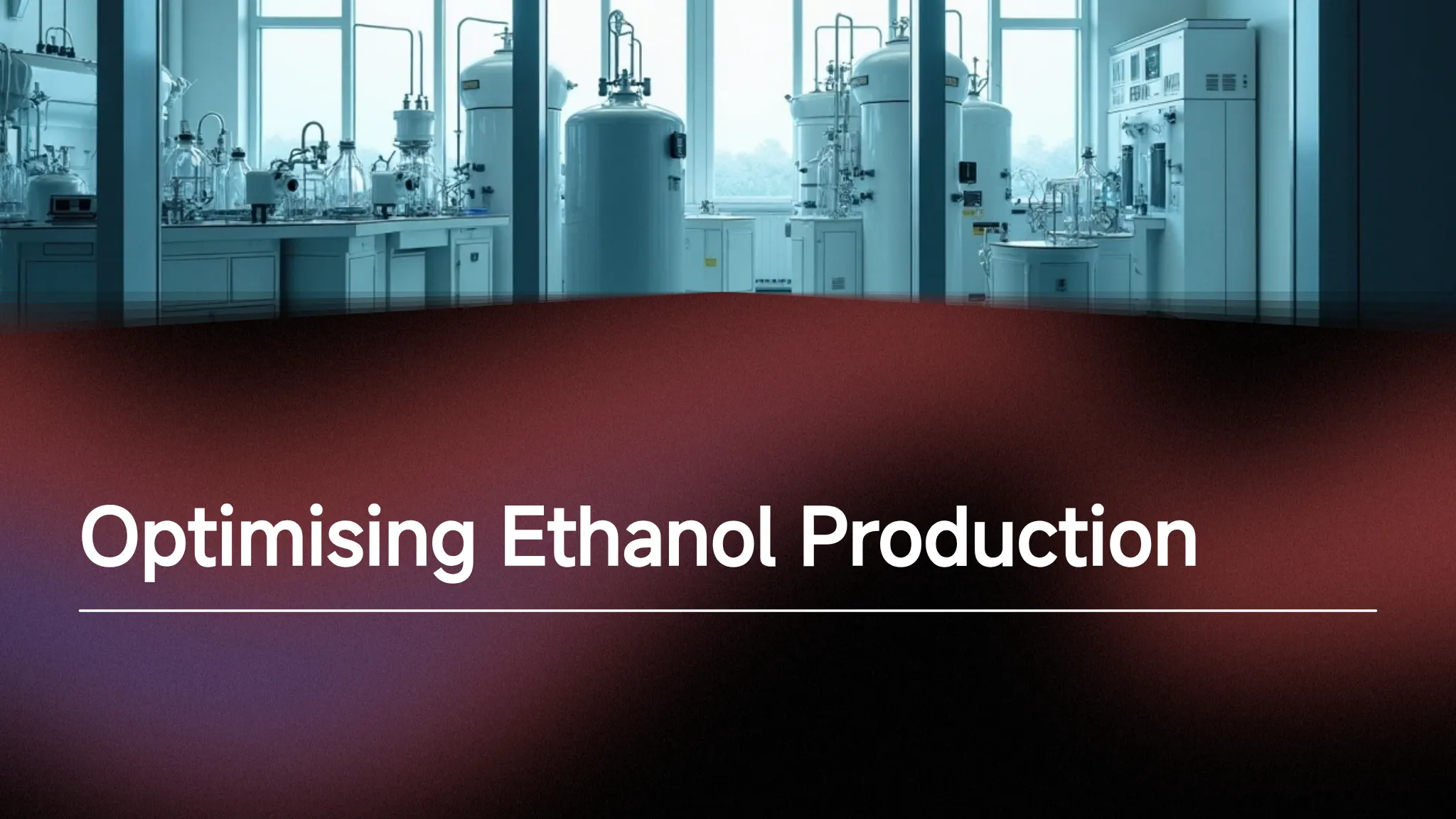 Optimising Ethanol Production