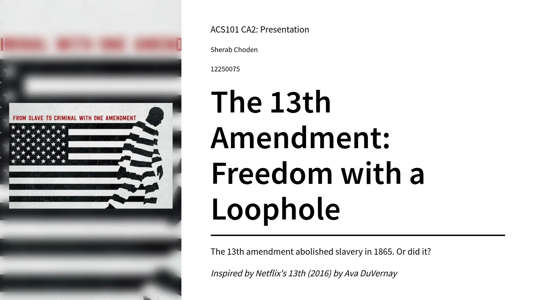 The 13th Amendment: A Histori...