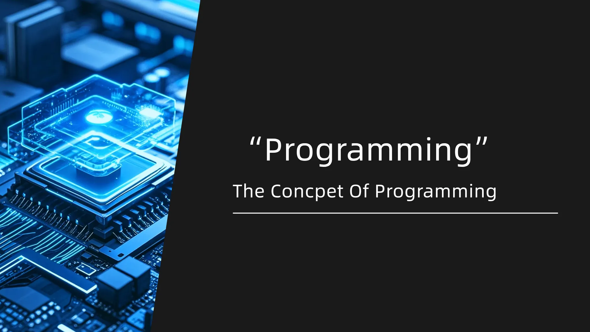 Programming: From Concepts to Biomedical Applications