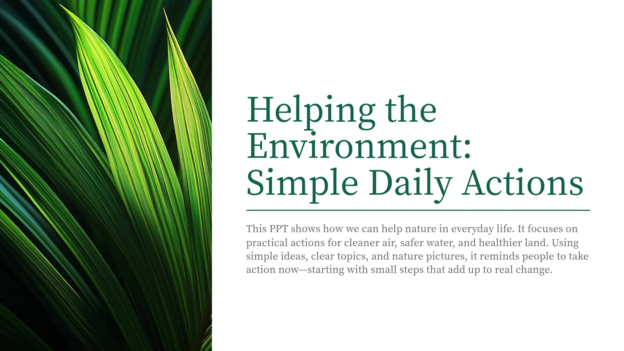 Helping the Environment: Simple Daily Actions