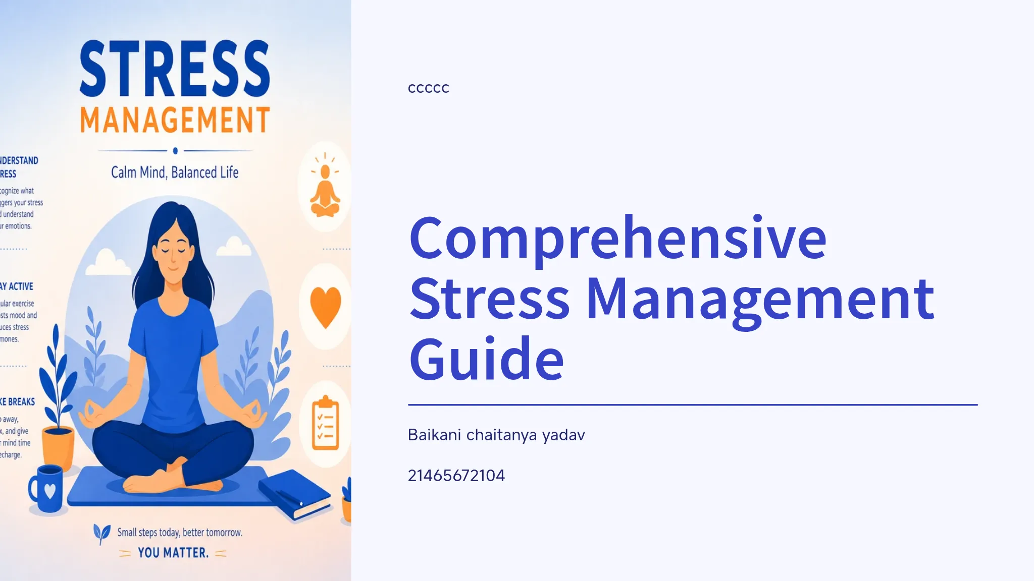 Comprehensive Stress Management Guide