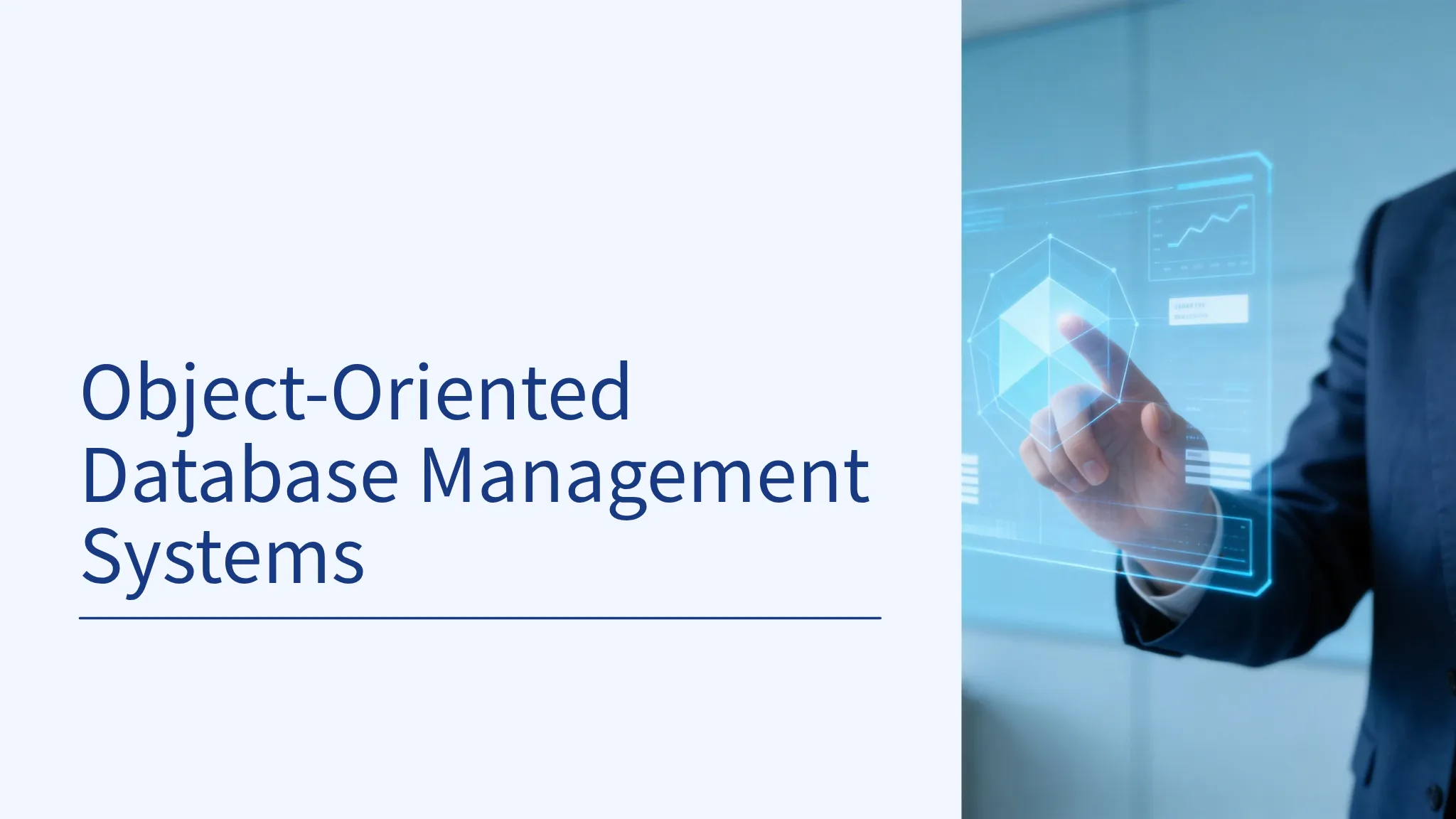 Object-Oriented Database Management Systems